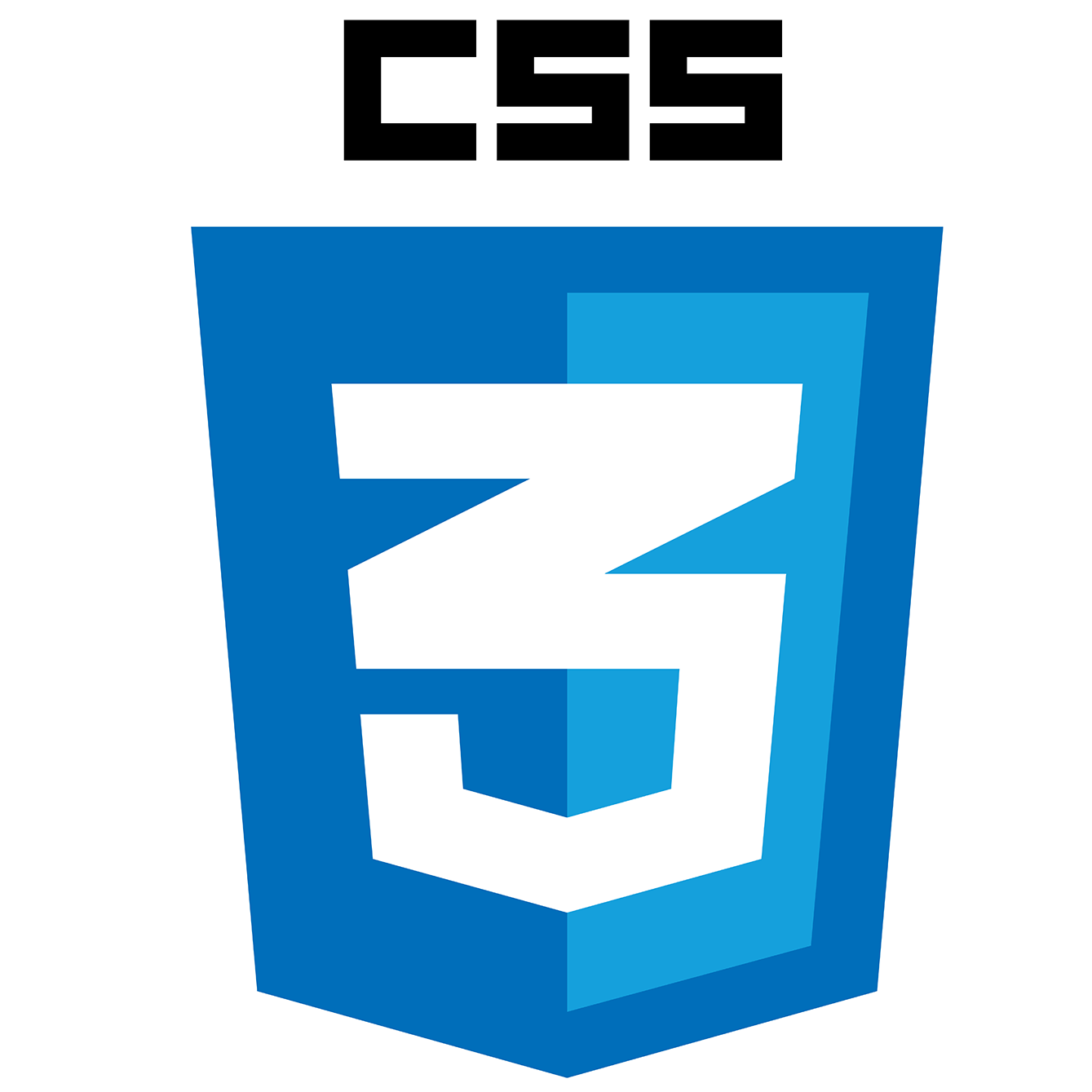 CSS Logo